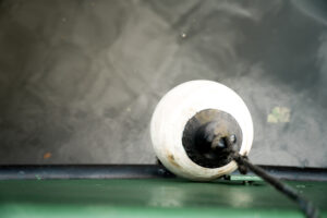 authentiek leiderschap coaching organisatie - Annelyse&Go